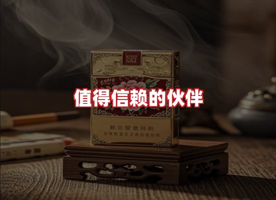 专业团队